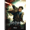 SALKO HARRY POTTER ΤΕΤΡΑΔΙΟ ΣΠΙΡΑΛ Α4(21X29) 4Θ 120φ 7209