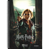 SALKO HARRY POTTER ΤΕΤΡΑΔΙΟ ΣΠΙΡΑΛ Α4(21X29) 4Θ 120φ 7209