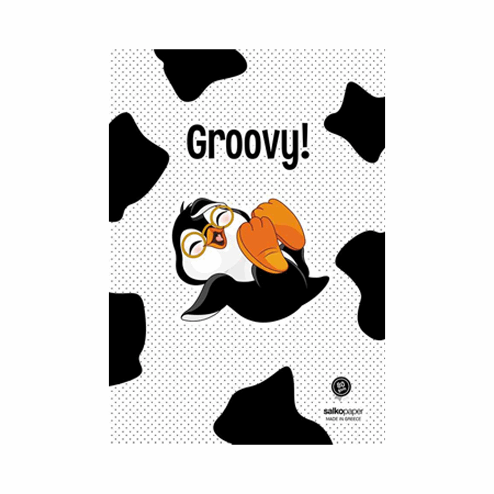 SALKO GROOVY ΤΕΤΡΑΔΙΟ ΚΑΡΦΙΤΣΑ Β5(17Χ25) 40φ 6202