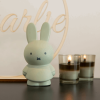 ATELIER PIERRE MIFFY EUKALYPTUS MONEY BOX | H13.5 O7.2 CM ATP-MND-1712