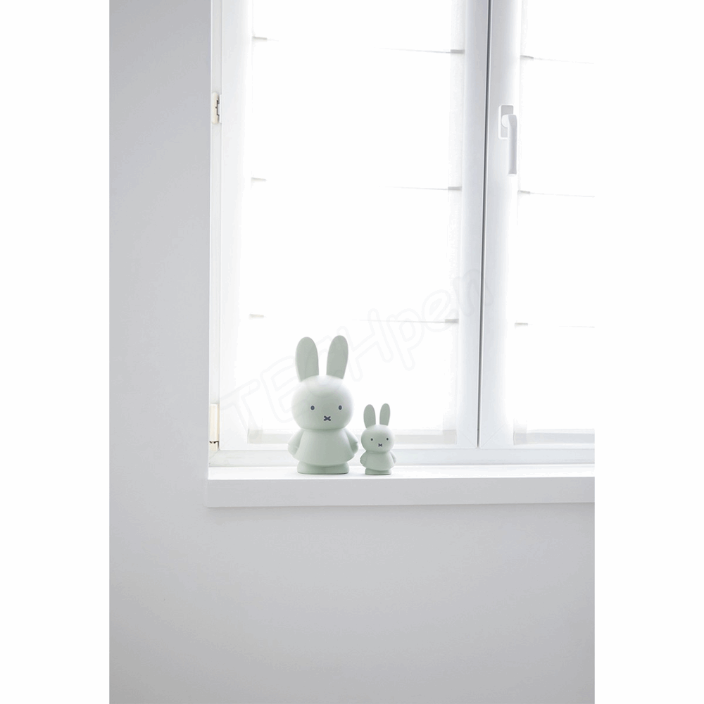 ATELIER PIERRE MIFFY EUKALYPTUS MONEY BOX | H13.5 O7.2 CM ATP-MND-1712