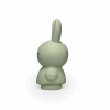 ATELIER PIERRE MIFFY EUKALYPTUS MONEY BOX | H13.5 O7.2 CM ATP-MND-1712