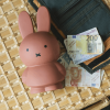ATELIER PIERRE MIFFY TERRA MONEY BOX | H19 O10 CM ATP-MND-1417