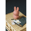 ATELIER PIERRE MIFFY TERRA MONEY BOX | H19 O10 CM ATP-MND-1417