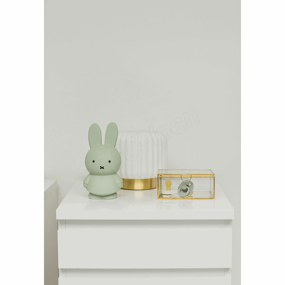 ATELIER PIERRE MIFFY EUCALYPTUS MONEY BOX | H19 O10 CM ATP-MND-1717