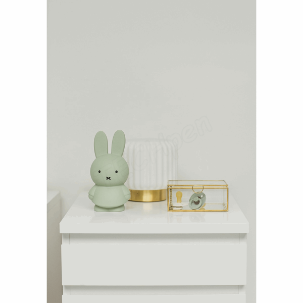 ATELIER PIERRE MIFFY EUCALYPTUS MONEY BOX | H19 O10 CM ATP-MND-1717