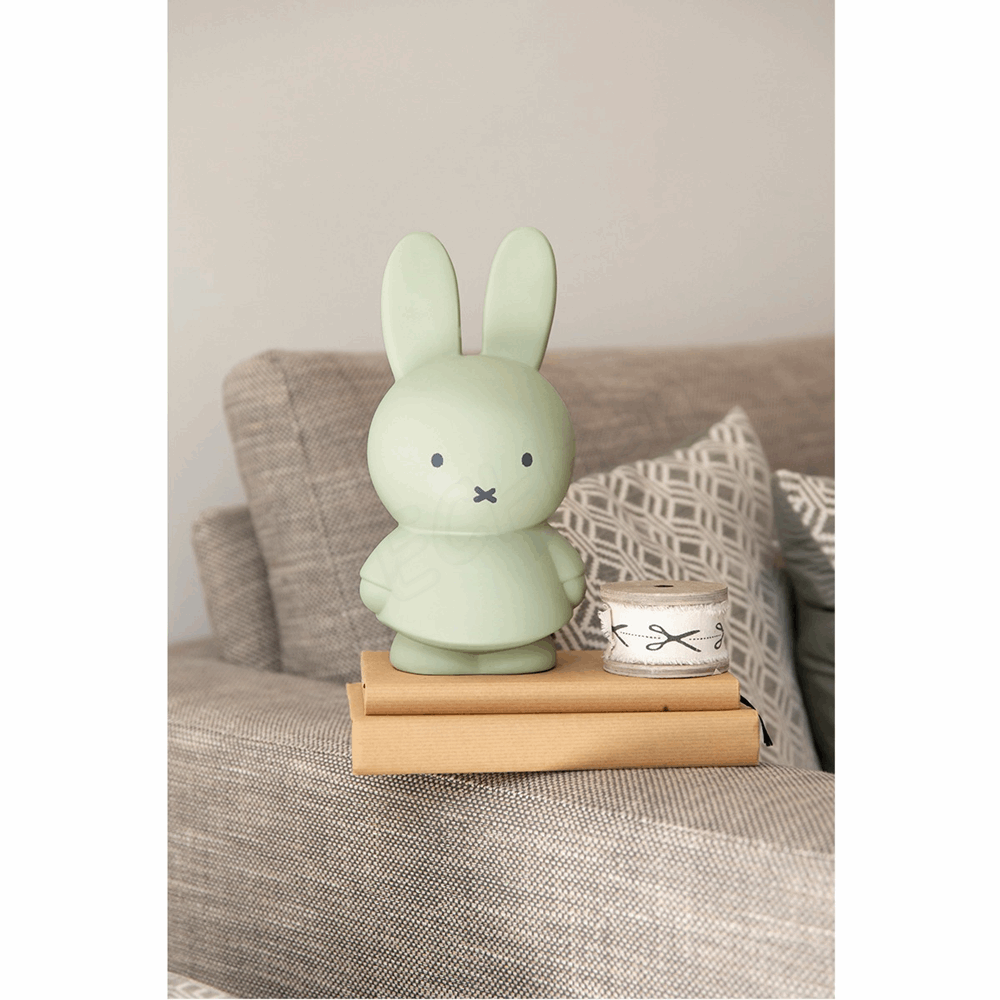 ATELIER PIERRE MIFFY EUCALYPTUS MONEY BOX | H19 O10 CM ATP-MND-1717