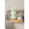 ATELIER PIERRE MIFFY EUCALYPTUS MONEY BOX | H19 O10 CM ATP-MND-1717