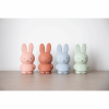 ATELIER PIERRE MIFFY EUCALYPTUS MONEY BOX | H19 O10 CM ATP-MND-1717