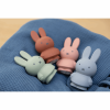 ATELIER PIERRE MIFFY EUCALYPTUS MONEY BOX | H19 O10 CM ATP-MND-1717