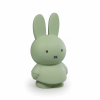ATELIER PIERRE MIFFY EUCALYPTUS MONEY BOX | H19 O10 CM ATP-MND-1717