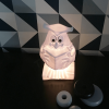 ATELIER PIERRE Daily Fable Owl Night light USB recharge WHITE | 11,8 x 11,7 x 22 cm ATP-FK-830