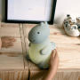 ATELIER PIERRE Jeroom Dino SAGE GREEN LIGHT LED, USB recharge | H 20 x 18 x 13 cm ATP-JD-330