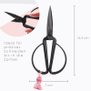 BELLTRADE Craft scissors, retro look, black, 14.5 cm BEL-15301
