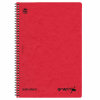 TYPOTRUST GRAPHIX ΤΕΤΡΑΔΙΟ ΣΠΙΡΑΛ Β5(17Χ25) 4Θ 120φ 4554-18