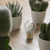 LEGAMI CLB0006 LIGHTBULB-SHAPED TABLE LAMP - BULB FICTION - CACTUS