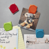 KIKKERLAND MAGNETIC CLIPS S/4