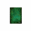 WHYNOTE ΤΕΤΡΑΔΙΟ ΣΠΙΡΑΛ B5 SCIENCE - 2θ - 60φ 810.518