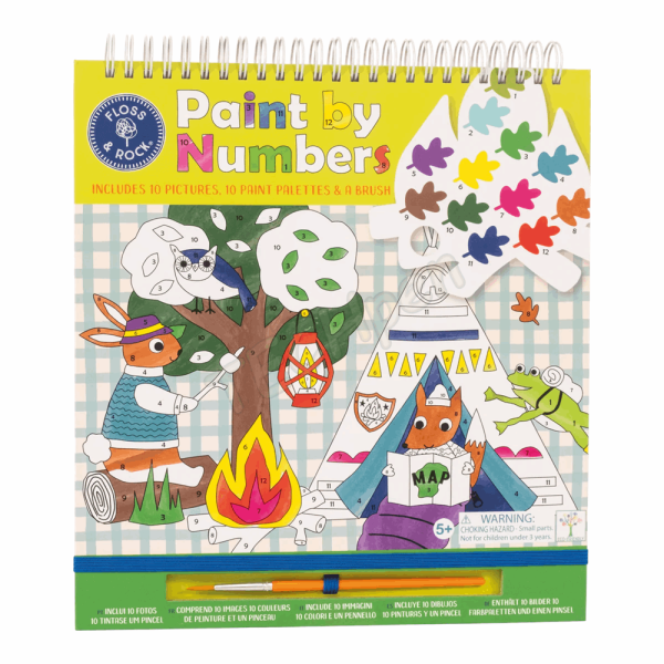 Floss&Rock  Adventure Paint by Numbers 48P5997