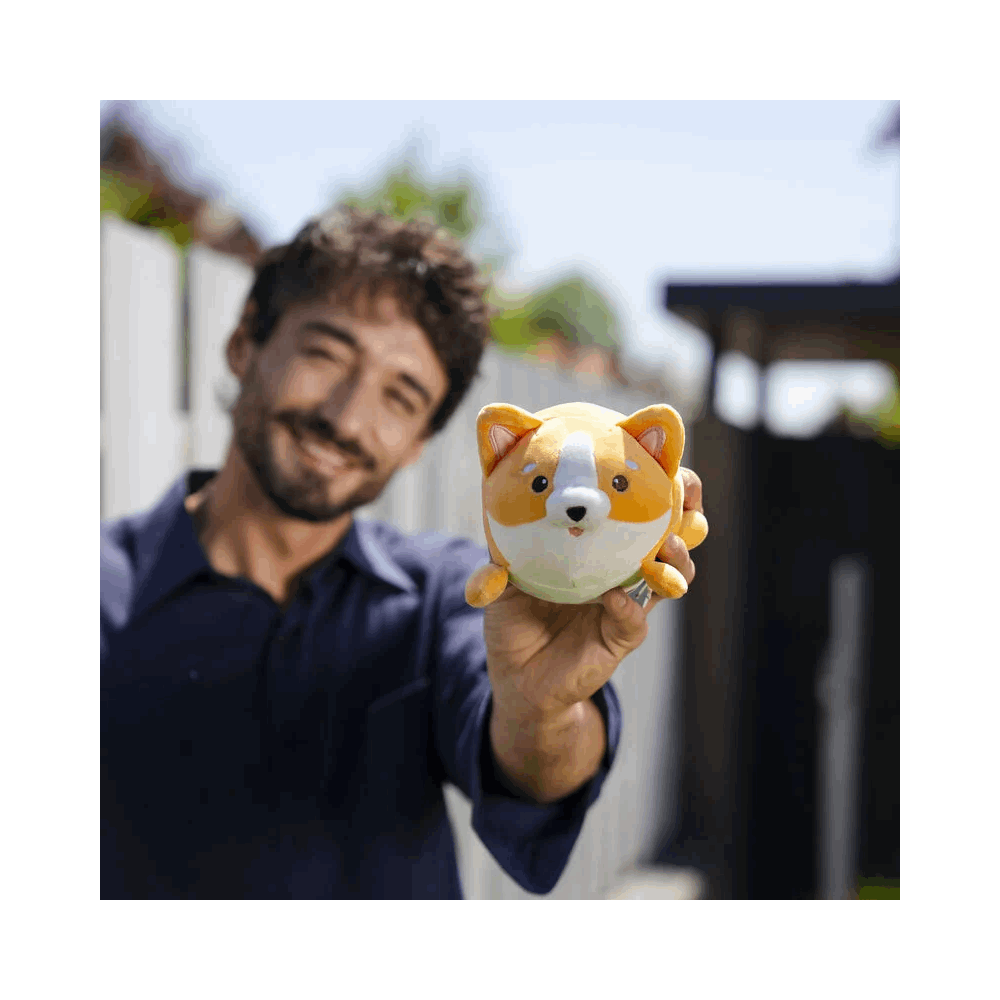 LEGAMI MSC0005 PLUSH - SUPER CUTE! - CORGI