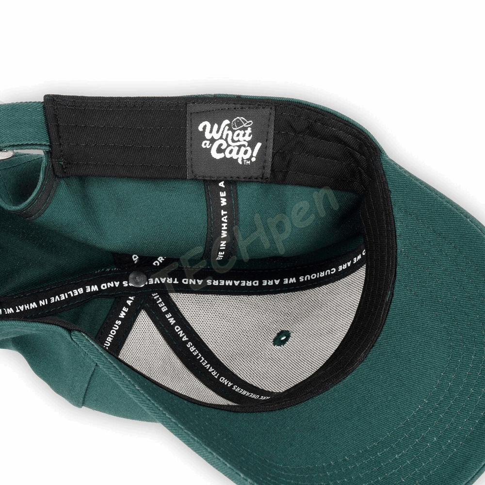 LEGAMI BCAP0005 WHAT A CAP! - CAP - DINO - GREEN