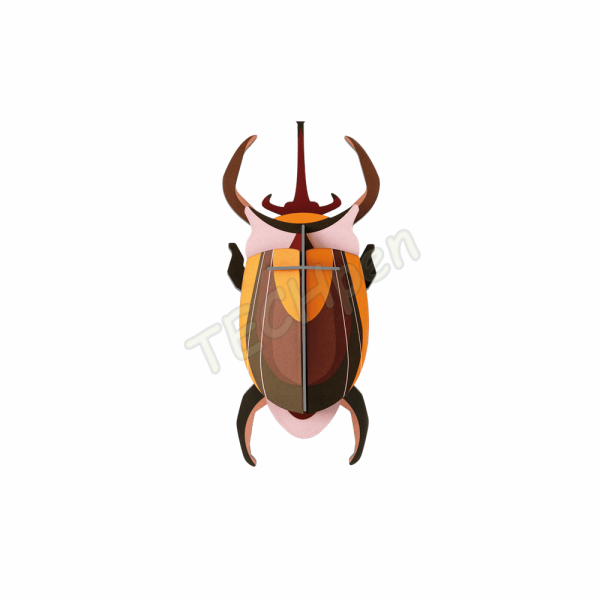 ROOF SMALL ELEPHANT BEETLE IMA77