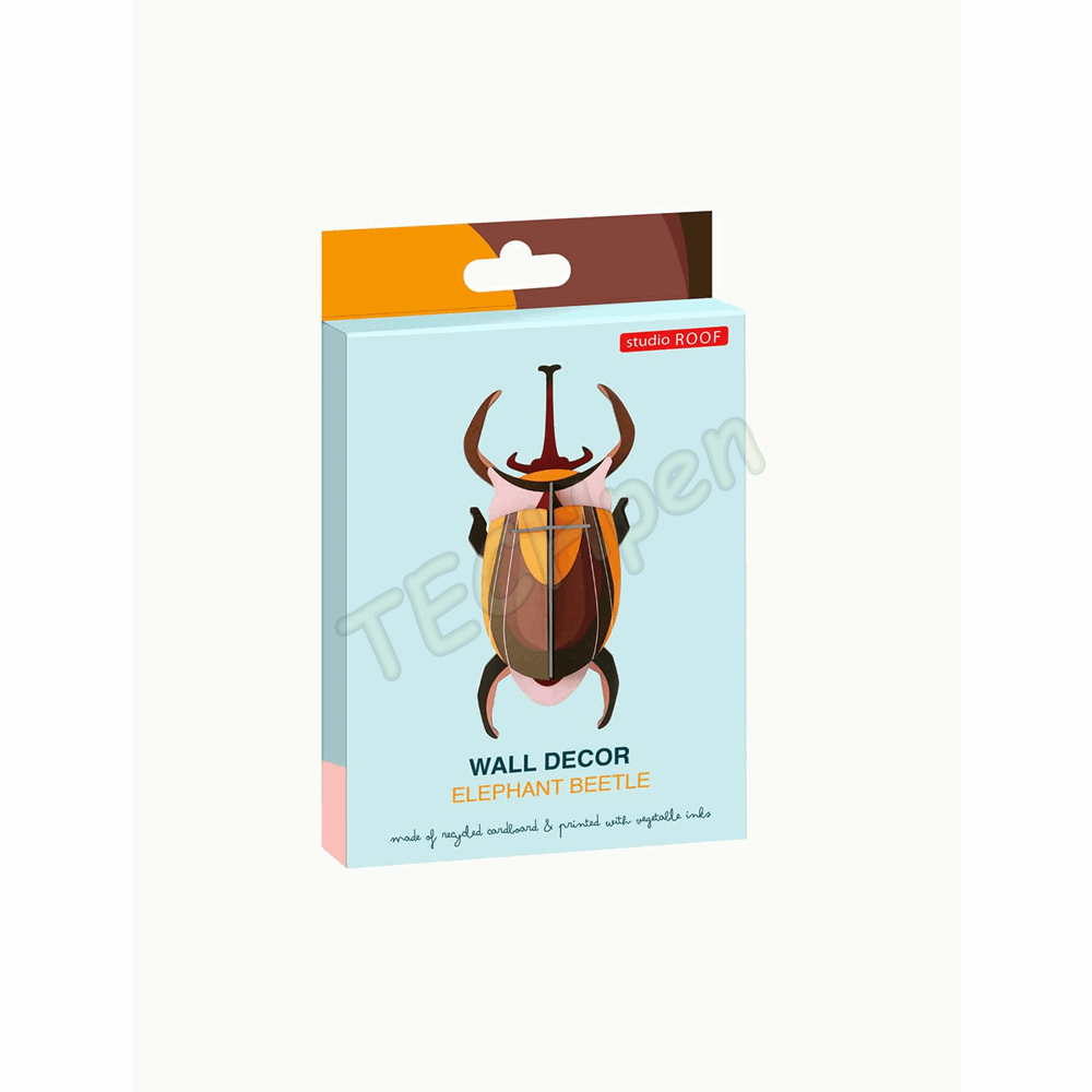 ROOF SMALL ELEPHANT BEETLE IMA77