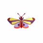 ROOF GIANT BUTTERFLY TTM145