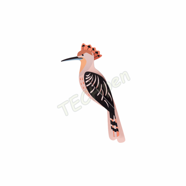 ROOF HOOPOE TTM212