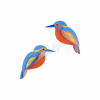 ROOF KINGFISHERS TTM216