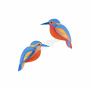 ROOF KINGFISHERS TTM216
