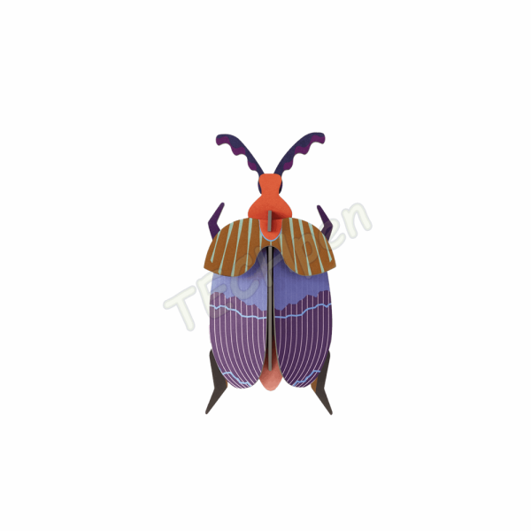 ROOF IMA75 SMALL QUEEN BEETLE