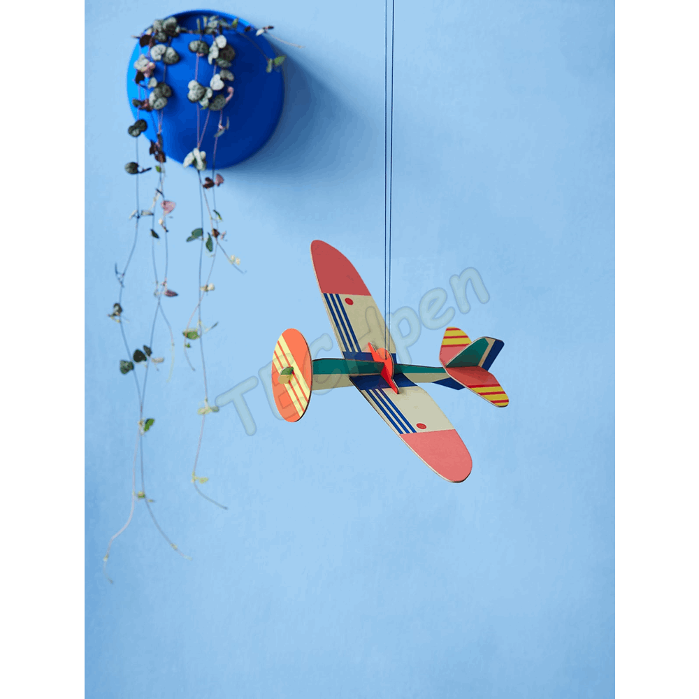 ROOF TTM167 PROPELLER PLANE