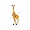 ROOF IMA95 GIRAFFE