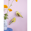 ROOF TTM227 CITRINELLA PAIR