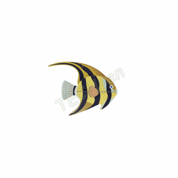 ROOF TTM232 ANGELFISH
