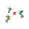 ROOF TTM235 DANCE OF HUMMINGBIRDS