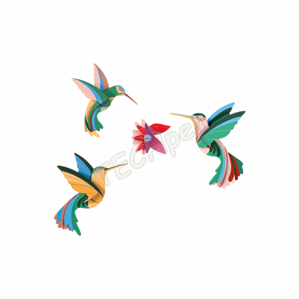 ROOF TTM235 DANCE OF HUMMINGBIRDS