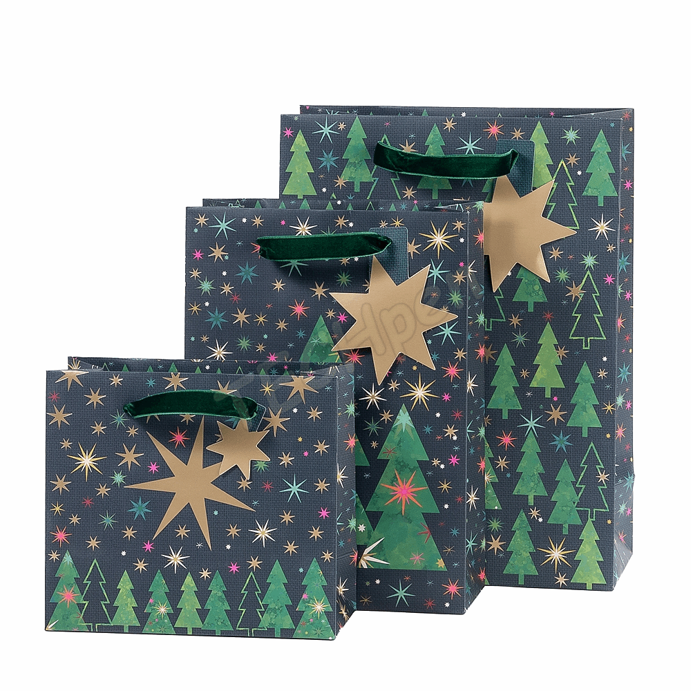 ARTEBENE 205936 XMAS GIFT BAGS 18X25X8cm