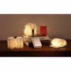 GINGKO G086WT SUPER MINI SMART BOOK LIGHT  WALNUT FINISH