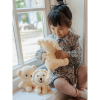BONTON 24182565 LION TERRY LIGHT YELLOW – 24 CM