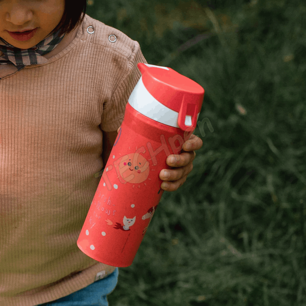 KOZIOL Water Bottle 500ml STAN RED DREAMS 8349745