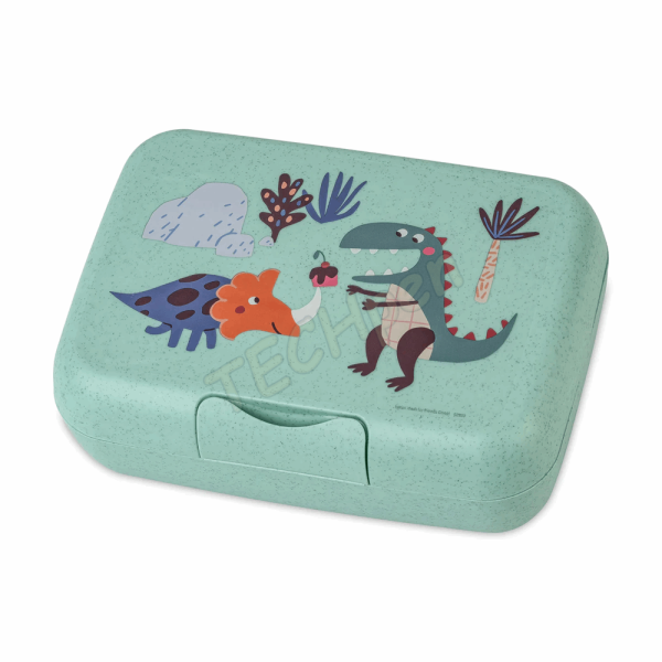 KOZIOL Lunch Box with separation bowl CANDY GREEN REX 8344748