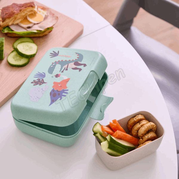 KOZIOL Lunch Box with separation bowl CANDY GREEN REX 8344748