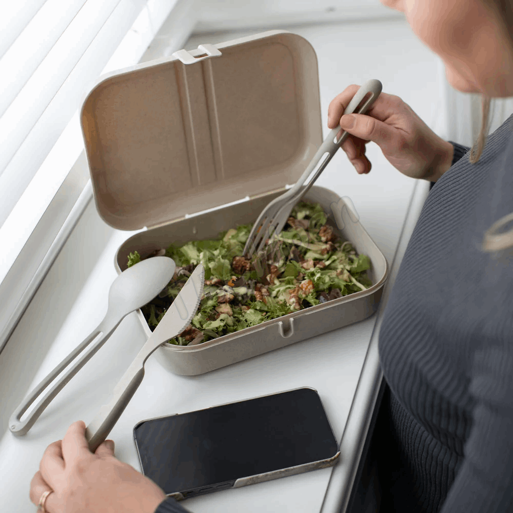 KOZIOL LUNCH BOX WITH SEPARATOR PASCAL L NATURE DESERT SAND 7152700