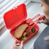 KOZIOL LUNCH BOX WITH SEPARATOR PASCAL L NATURE CORAL 7152704