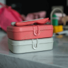 KOZIOL LUNCH BOX WITH SEPARATOR PASCAL L NATURE CORAL 7152704