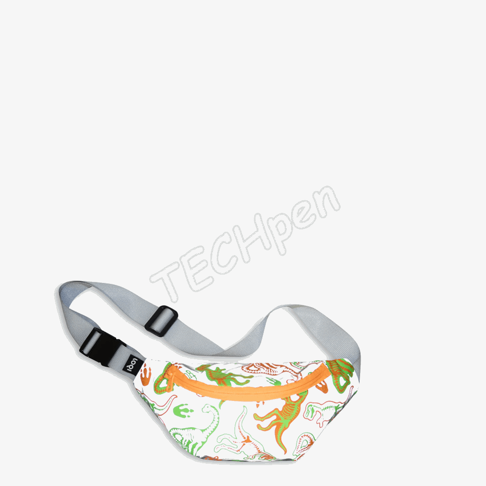 LOQI BB.RE.DS DINOSAUR SKELETON