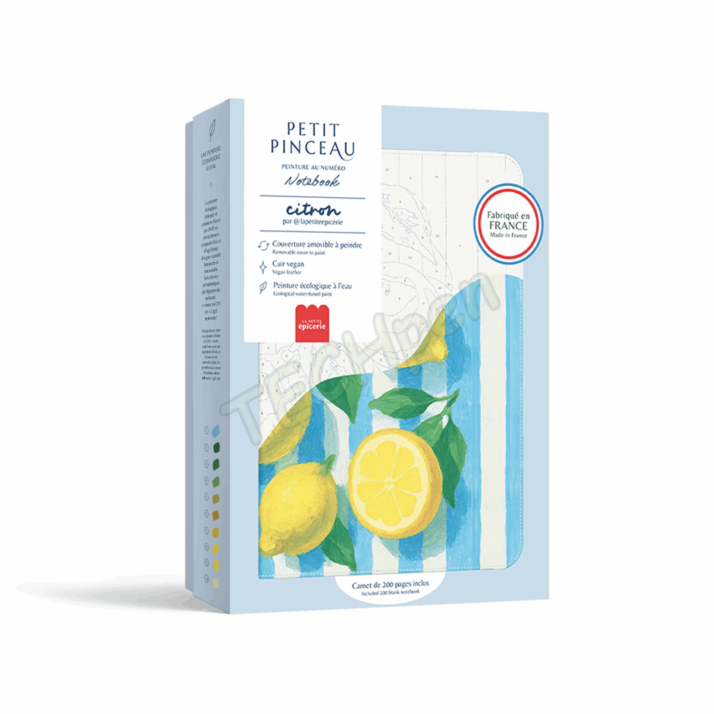 LA PETITE EPICERIE 350904 NOTEBOOK A PEINDRE - CITRONS
