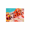 LA PETITE EPICERIE 350032 PETIT PINCEAU - SUMMER DEAMS PAR SUNLEE